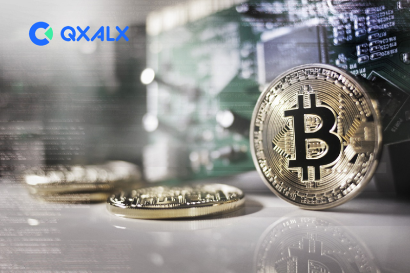 QXALX 암호화폐 거래소 2019년 회고: 출발과 성장의 여정